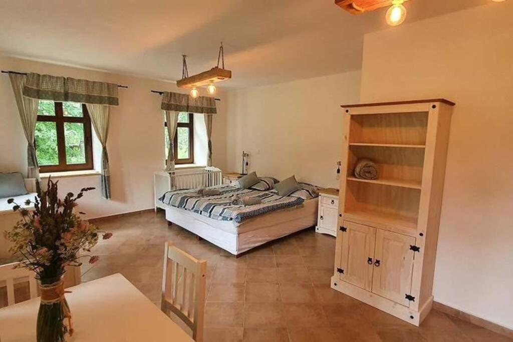 Country house Kamenny Vrch Adrspach