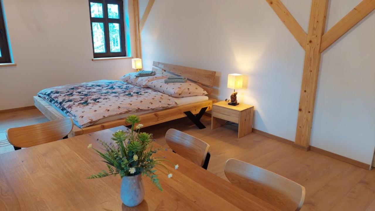 Kamenny Vrch Adrspach Country house *